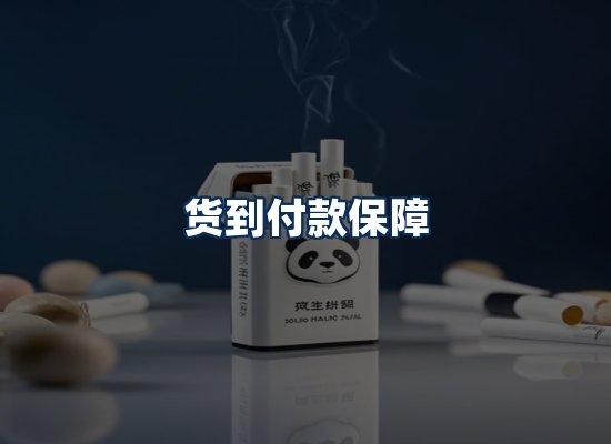 专业团队办公环境